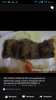 Bocaditos parrilla y comidas rapidas